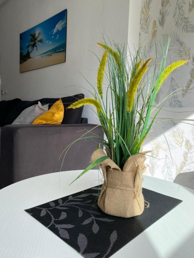 Sunshine Apartment Torrevieja Exterior photo