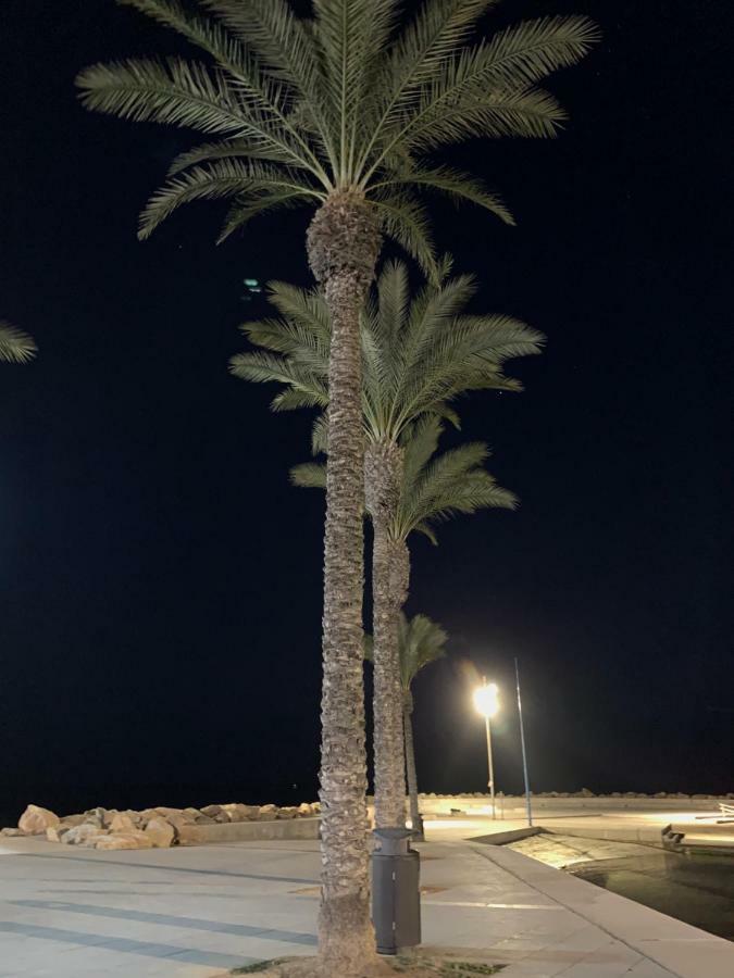 Sunshine Apartment Torrevieja Exterior photo